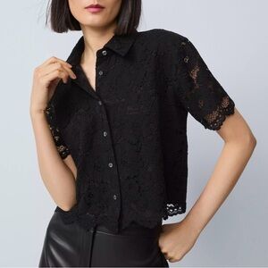 Ann Taylor Black Lace Button Down Shirt